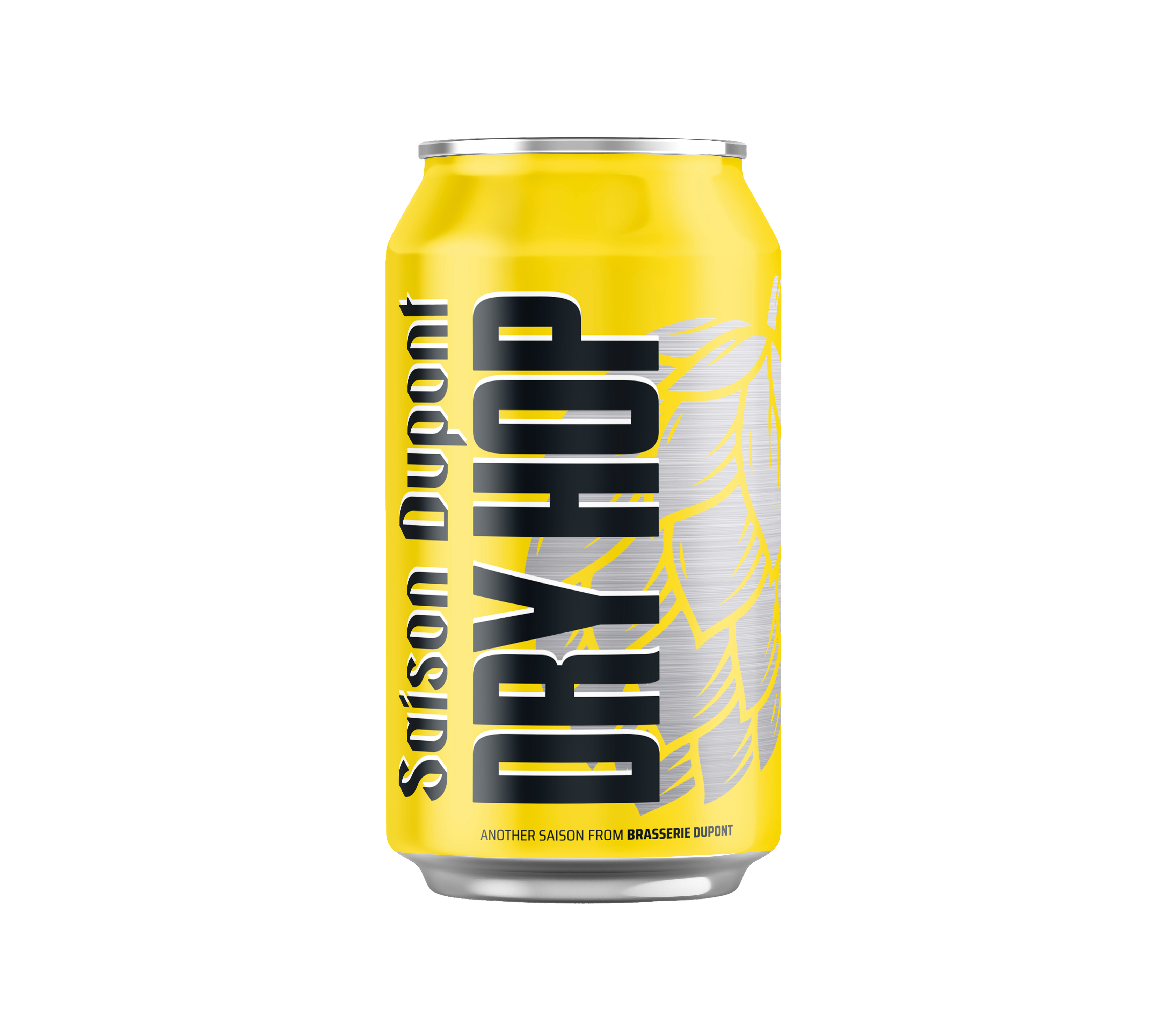 Saison Dupont Dry Hop - 33cl (5410702001444) - main image